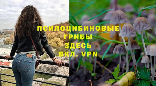 круглые Заводоуковск