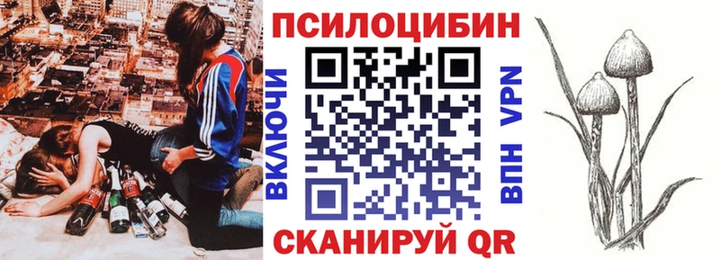 Купить закладки  Кувшиново  Псилоцибиновые грибы Magic Shrooms 